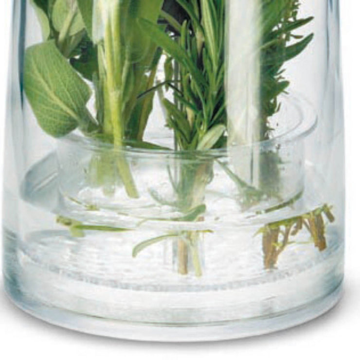 Cuisipro Herb Keeper, Large, Clear